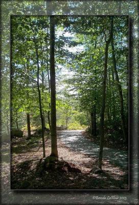 Franconia Notch Trail