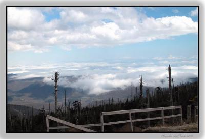 View from Mt. Mitchell