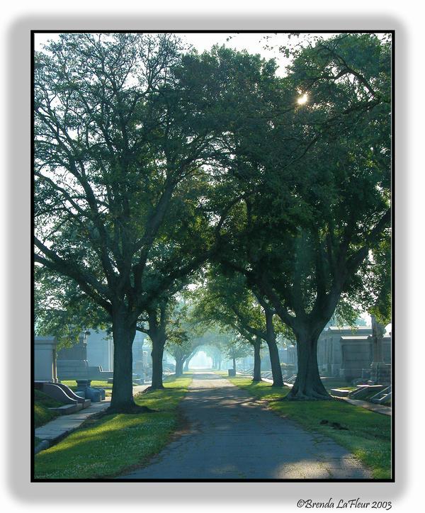 Cemetary Path