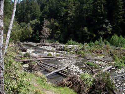 The San Lorenzo river