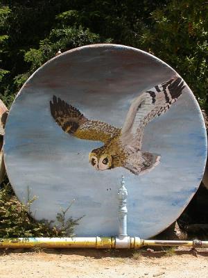 Nice painting of an Owl on the side of a water tank
