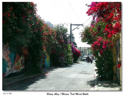 Flowery alley