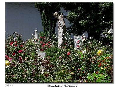 Father Serra in the rose garden