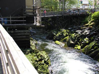 P6030020.JPG