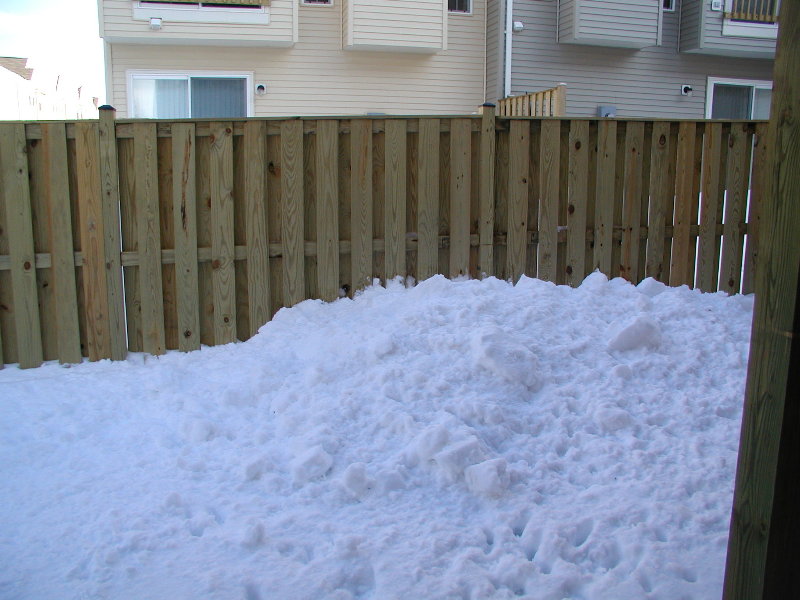 P2180001.JPG