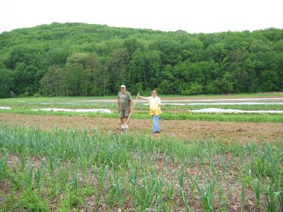 Paul's Farm