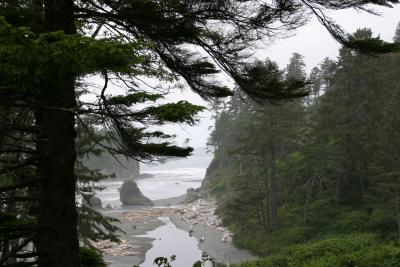 Moclips Pacific Beach -Wash.State 2.jpg