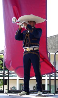 Mariachi 3