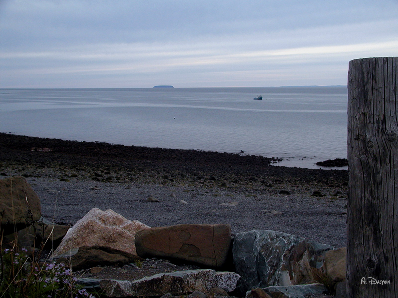 The Return  ~ Halls Harbor