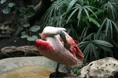 IMG_0140.jpg