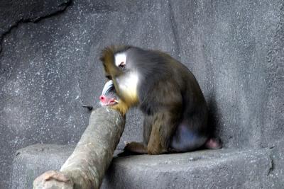 CRW_0344.jpg