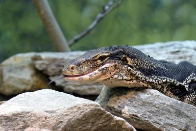 CRW_0375.jpg