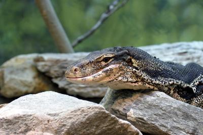 CRW_0377.jpg
