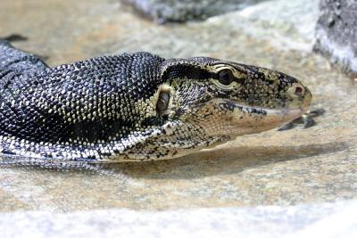 CRW_0391.jpg