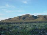 DSC05607.jpg