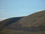 DSC05613.jpg