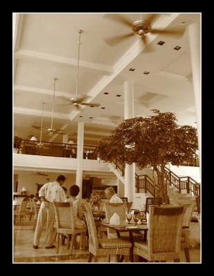 Enjoying meal under the Cool Fans