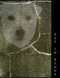 Set In Stone