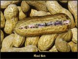 Mixed Nuts
