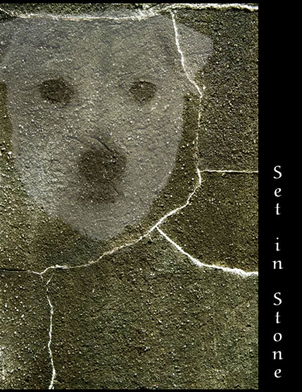Set In Stone