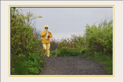 A yellow visitor (rain slicker)