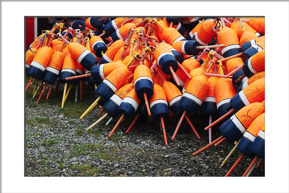 The lovely colors of Eddy Marina (Maine, lobster fishing)