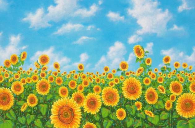 the day of sunflowers: reprise