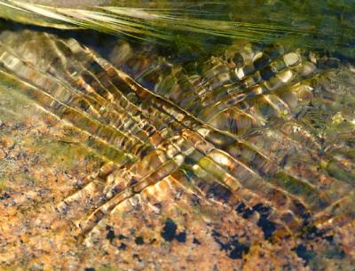 Shallow Stream Water Over Quartz