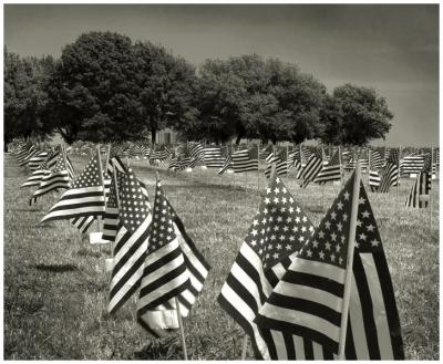 Field Of Flagsby David Cappello 