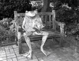 Frog on the Bench