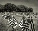 <B>Field Of Flags</B><BR><font size=1>by David Cappello </font>