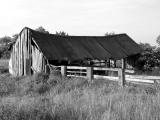 Barn Stormed