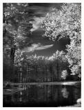 Alpine Lake IR