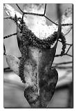 Hanging On