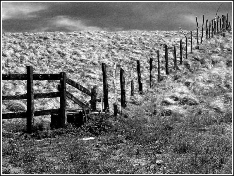 The Wooden Divide