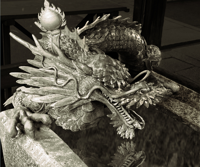 Enter the Dragon