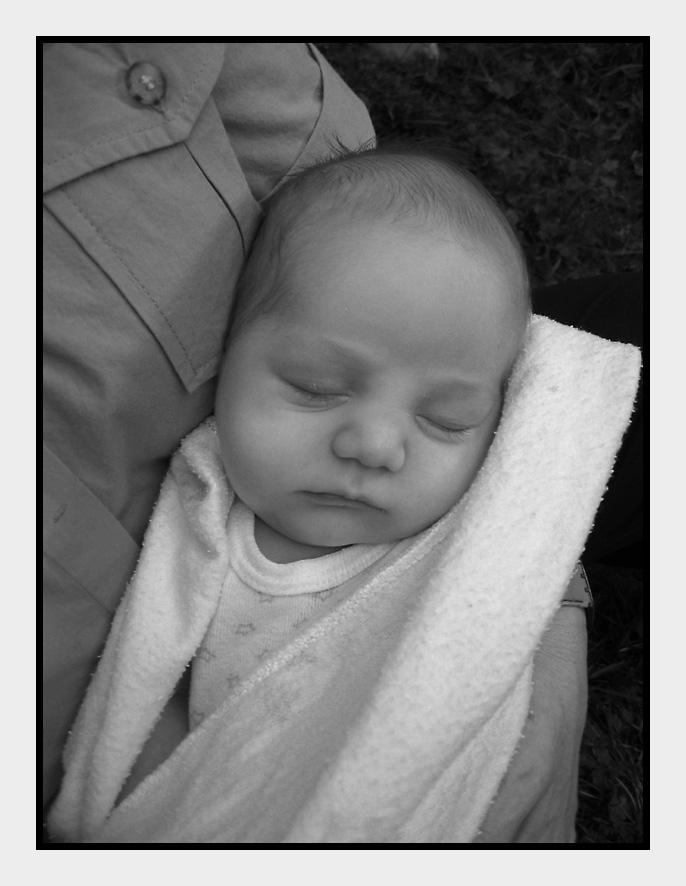 <B>Two Weeks Old</B>