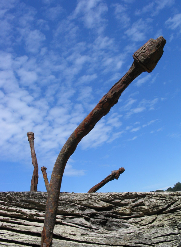 Shipwreck