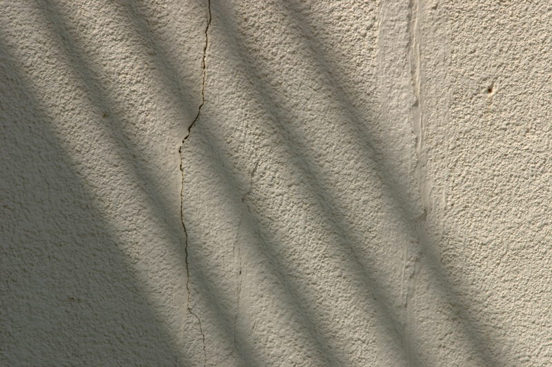 Shadow *