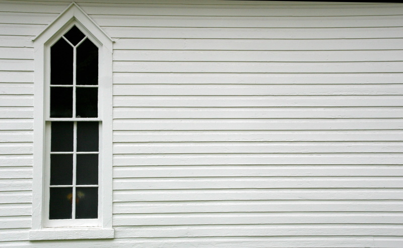 Flowers in the Window (*)