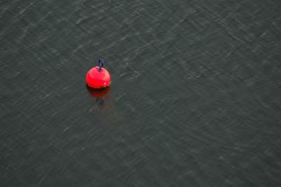 u29/cvcc/medium/42966846.DSC_6382.jpg