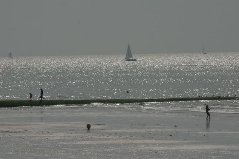 IMG_6303.JPG