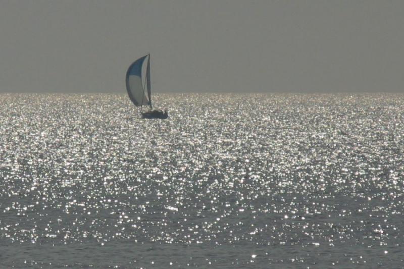 IMG_6309.JPG