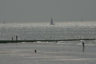 IMG_6303.JPG
