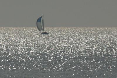IMG_6309.JPG