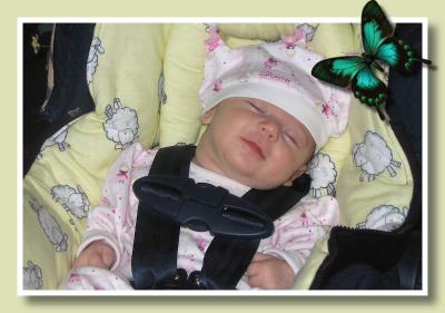 IMG_0613a.JPG