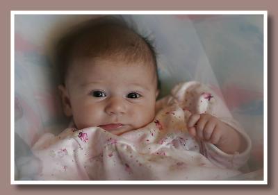_MG_6005a.JPG