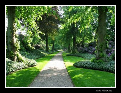 lime avenue biddulph grange