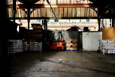 FORKLIFT AND BIRD