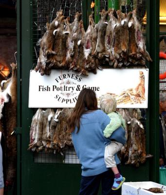 PET CARE